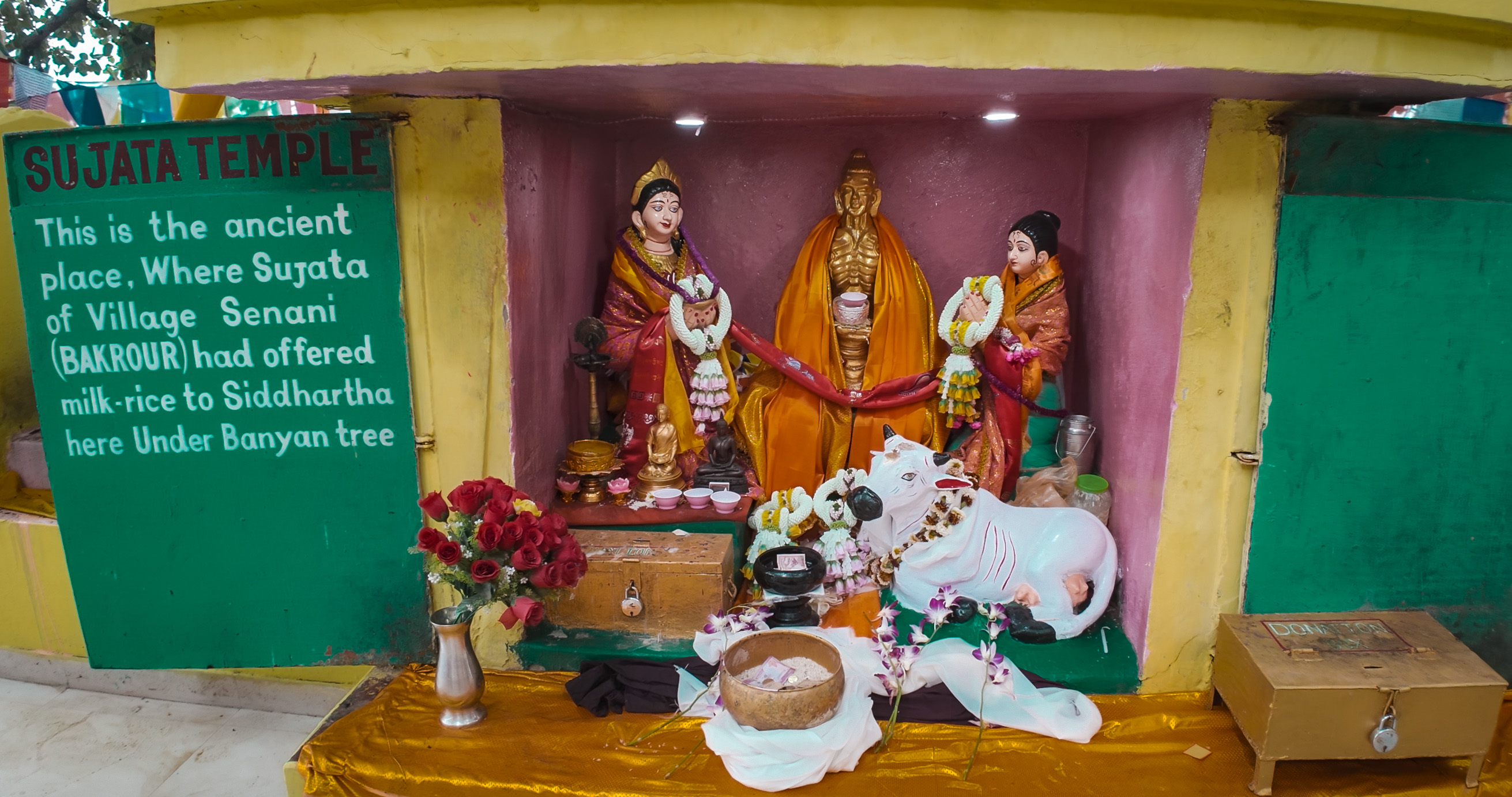 The Bowl of Rice That Changed History